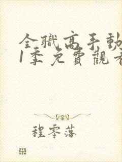 全职高手动漫第1季免费观看