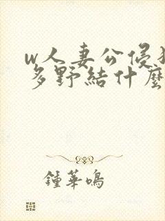 w人妻公侵犯波多野结什么销售