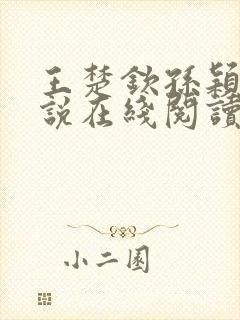 王楚钦孙颖莎小说在线阅读