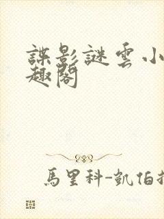 谍影谜云小说笔趣阁封面