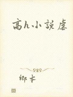 高h小说虐封面