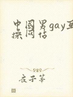 中国男gay互操网站