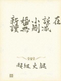 新婚小说在线阅读无删减封面