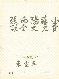 张向阳苏小棠小说全文免费阅读笔趣阁