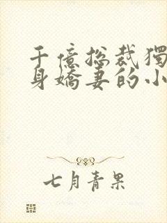 千亿总裁独宠替身娇妻的小说封面