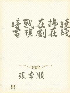 暗战在拂晓之前电视剧在线观看免费