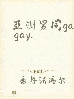 亚洲男同gay gay.
