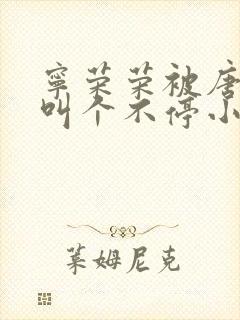 宁荣荣被唐三桶叫个不停小说封面