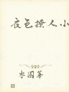 夜色撩人小说