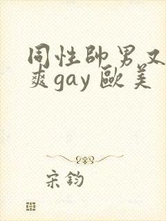 同性帅男又粗又爽gay 欧美