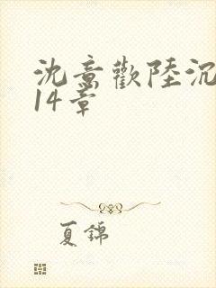 沈意欢陆沉舟第14章封面