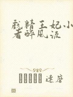 戏精王妃小说作者醉风流