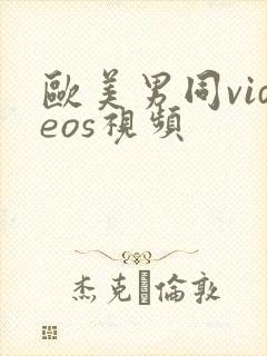 欧美男同videos视频