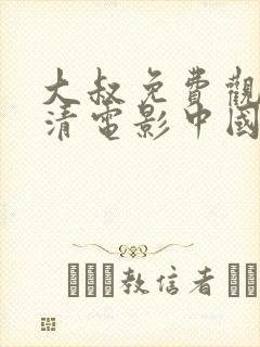 大叔免费观看高清电影中国版封面