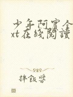 少年阿宾全集txt在线阅读