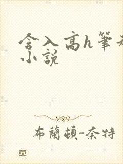 含入高h笔趣阁小说