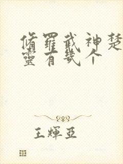 修罗武神楚枫界灵有几个