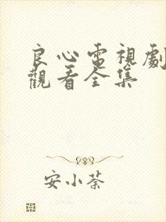 良心电视剧免费观看全集封面