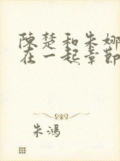 陈楚和朱娜妈妈在一起章节封面