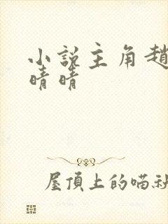 小说主角赵旭李晴晴