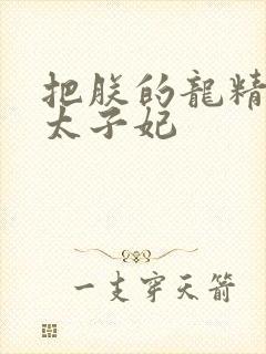 把朕的龙精含h太子妃封面