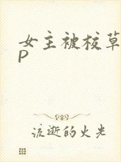 女主被校草们NP封面