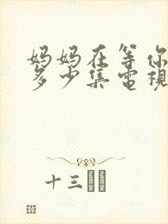 妈妈在等你一共多少集电视剧封面