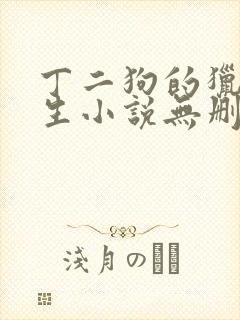 丁二狗的猎艳人生小说无删减小说