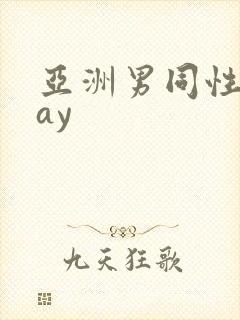 亚洲男同性恋gay