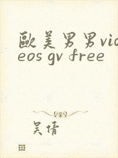 欧美男男videos gv free