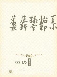 叶辰孙怡夏若雪最新章节小说