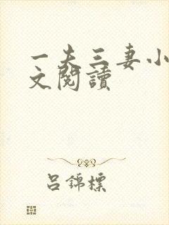 一夫三妻小说全文阅读