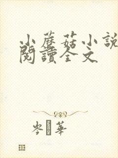 小蘑菇小说免费阅读全文