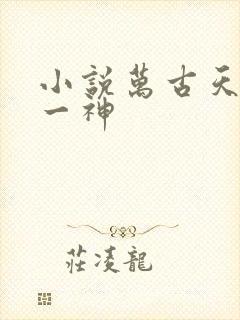 小说万古天帝第一神封面