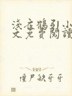 浅夜鹤引小说全文免费阅读