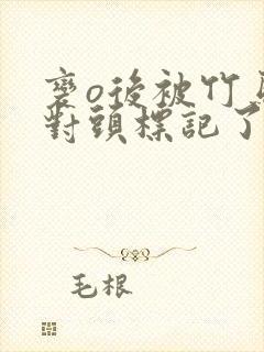 变o后被竹马死对头标记了笔趣阁封面