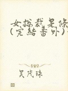 女总裁是条骚狗(完结番外)笔趣阁小说