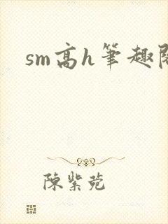 sm高h笔趣阁