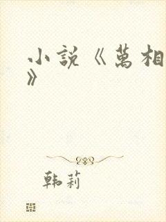 小说《万相之王》