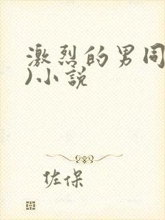 激烈的男同(h)小说封面