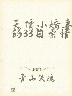 天价小娇妻总裁的33日索情