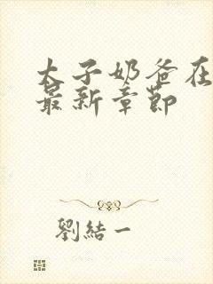 太子奶爸在花都最新章节封面