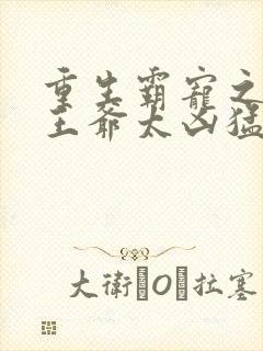 重生霸宠之摄政王爷太凶猛