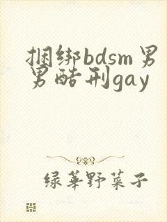 捆绑bdsm男男酷刑gay