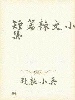 短篇辣文小说合集