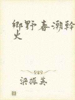 乡野春潮干柴烈火封面