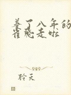 养了八年的金丝雀飞走啦