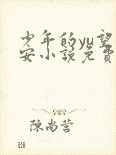 少年的yu望王安小说免费阅读封面