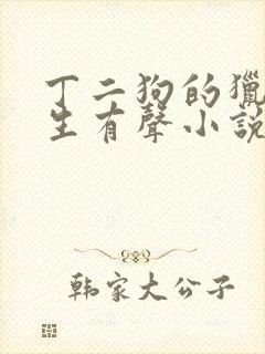 丁二狗的猎艳人生有声小说全集