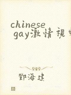 chinese gay激情视频
